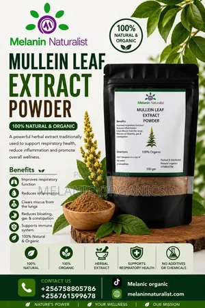 Mullein Leaf Extract Powder