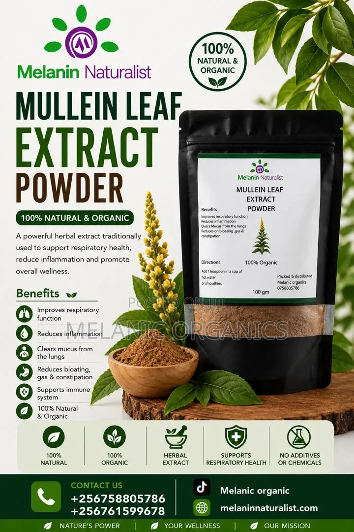 Mullein Leaf Extract Powder