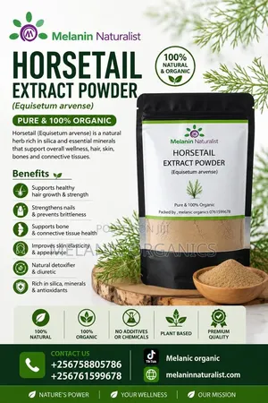 Horsetail Extract Powder