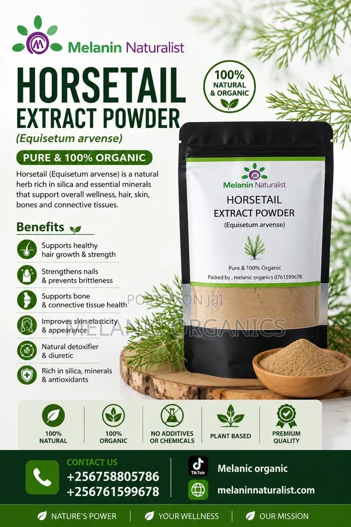 Horsetail Extract Powder