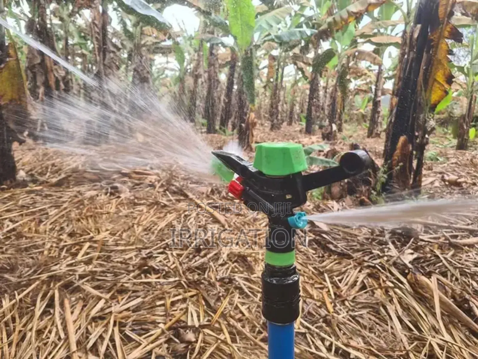 Fixed Sprinkler Irrigation System