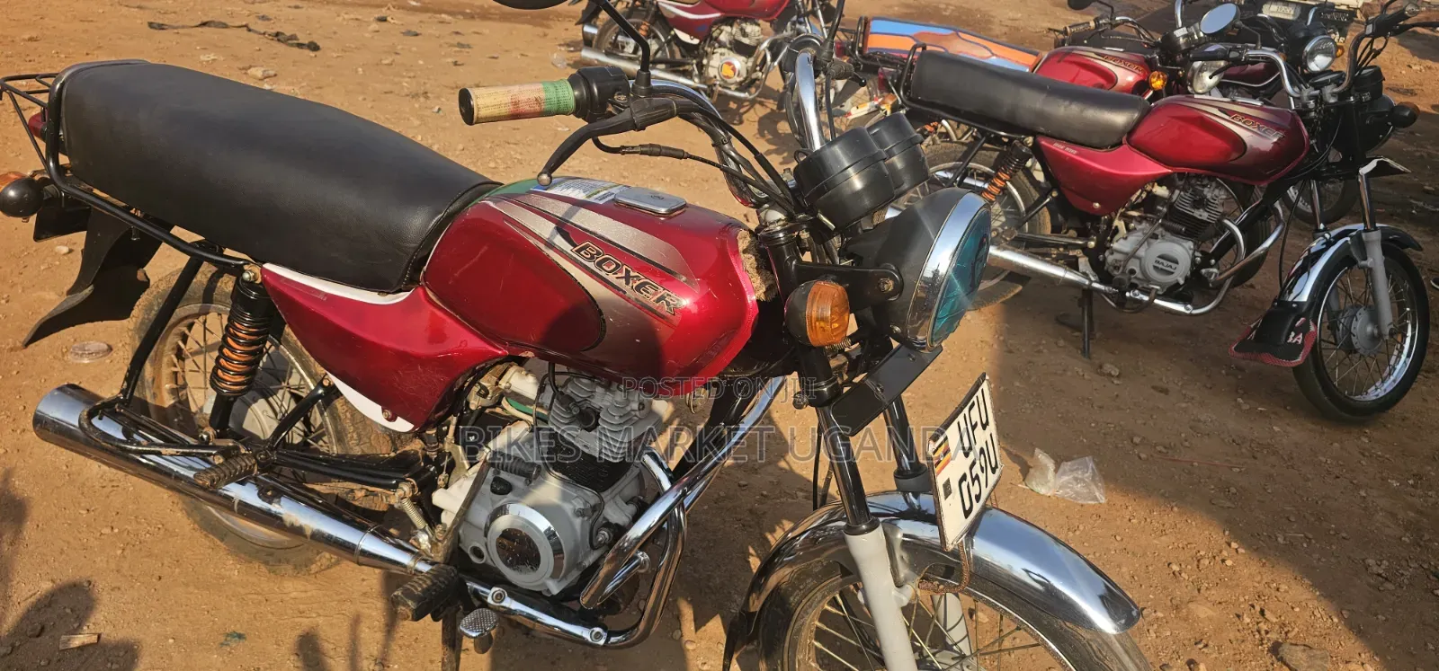 Bajaj Boxer 2024 Red