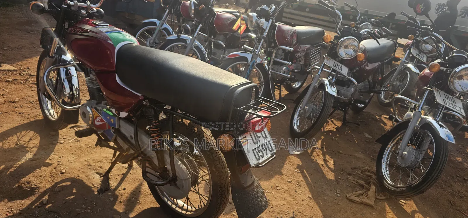 Bajaj Boxer 2024 Red