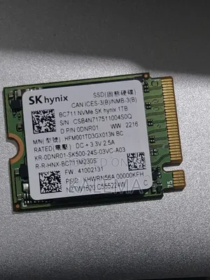 Nvme Skynix 1tb for Laptops