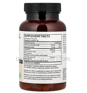 L-Lysine 1500mg, With Vit C, Zinc, Olive Leaf and Garlic, 90 Capsules