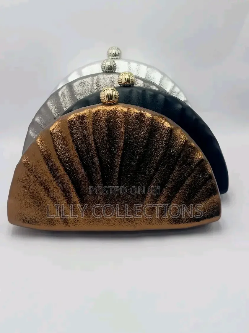 Elegant Evening Clutch Bag