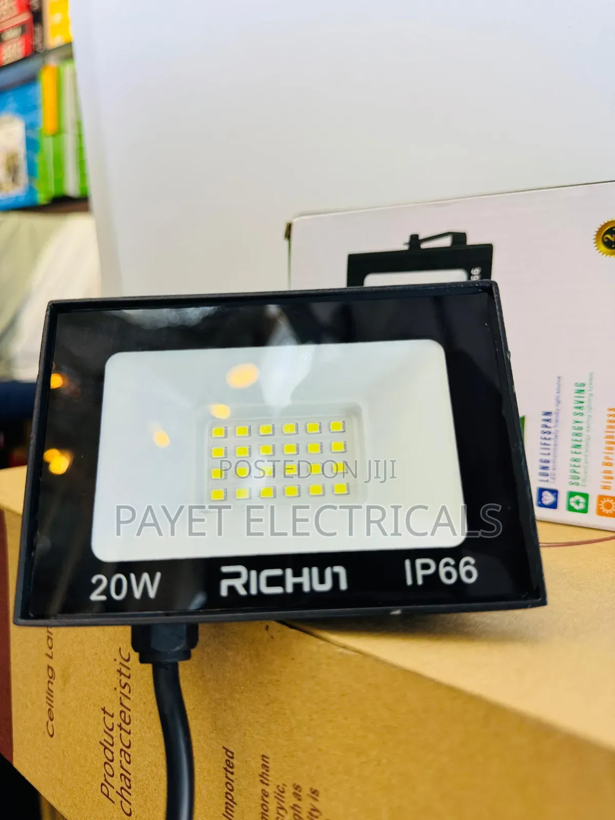 20watts Flood Light for Richun