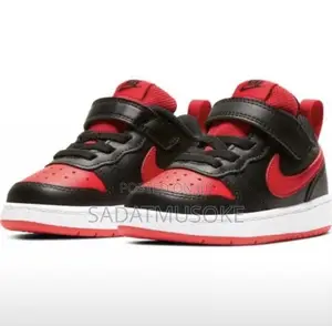 Nike Court Borough Low 2