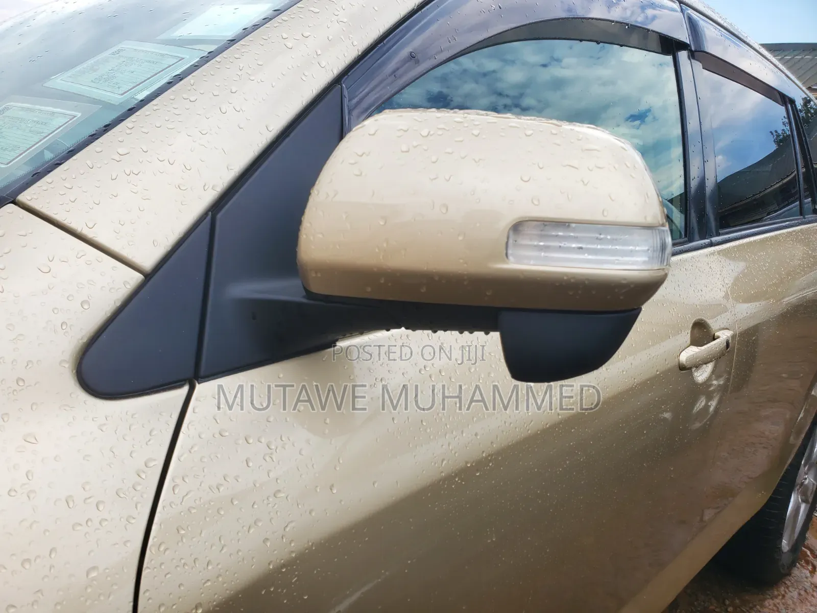 Toyota Vanguard 2010 Gold