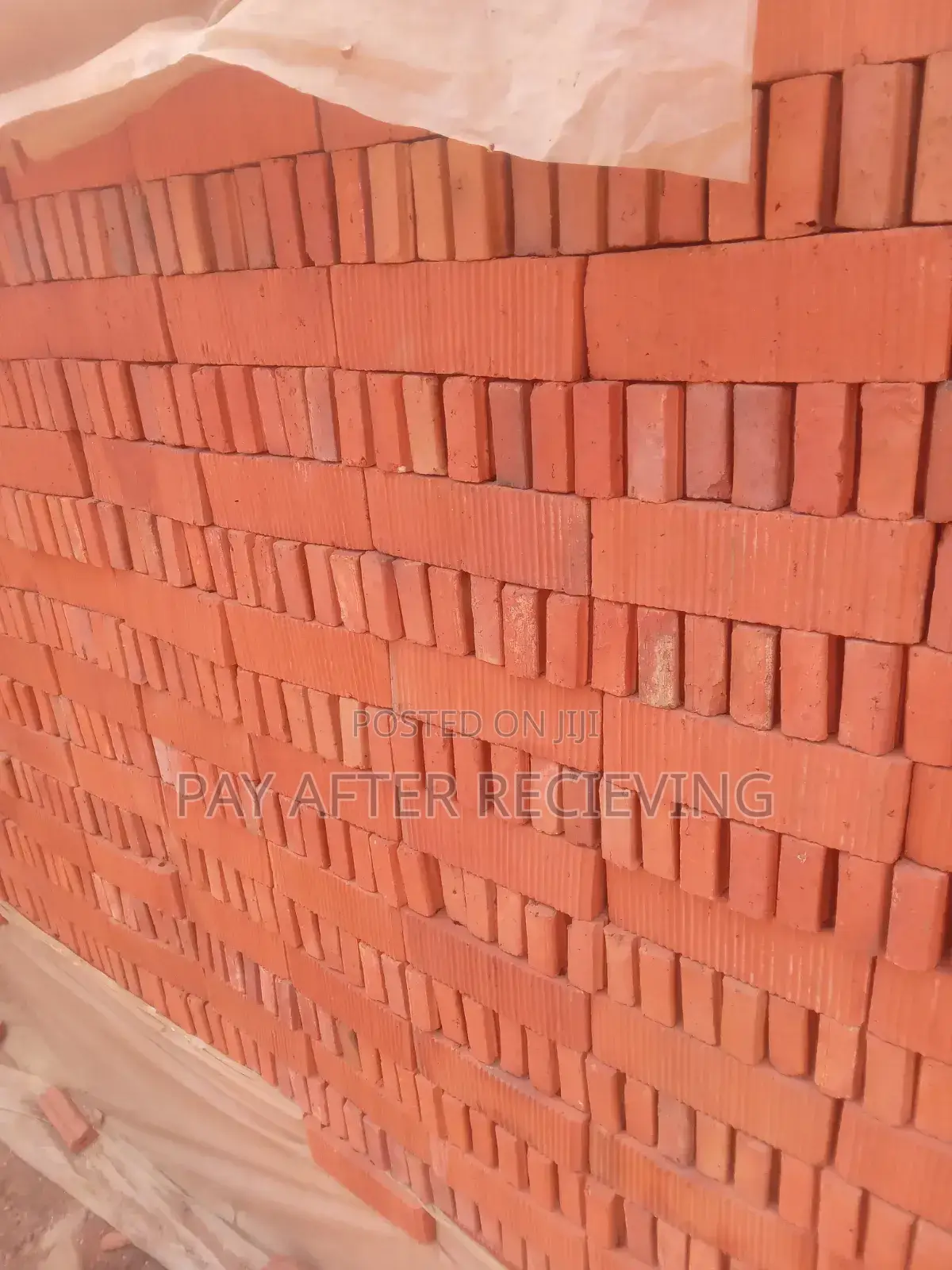 Facing Bricks Pure