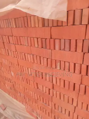 Facing Bricks Pure