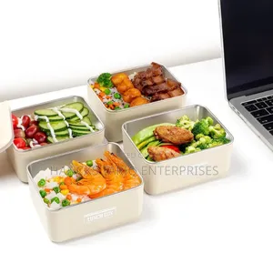 Multi-layer Insulated Lunch Box Set With Carry Bag