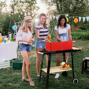 Portable Charcoal Grill