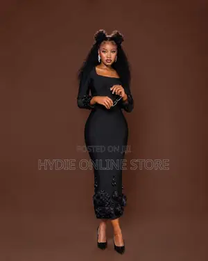 Long Sleeved Party Dress