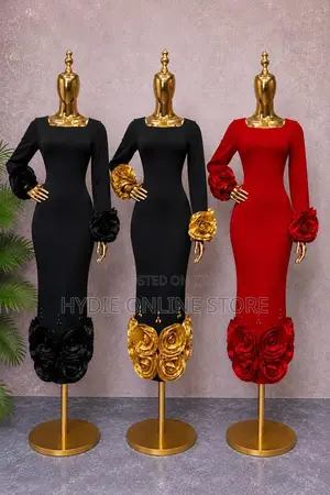 Long Sleeved Party Dress