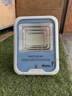 100w Floodlights