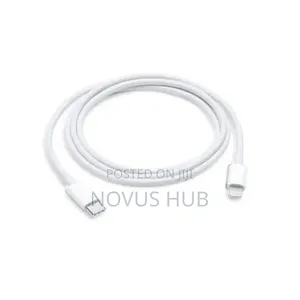iPhone Charger