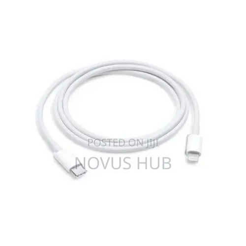 iPhone Charger