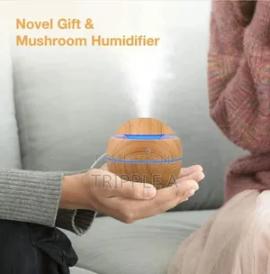 Aroma Diffuser Air Humidifier With Colorful Change