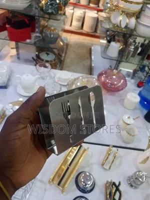 Stainless Steel Tissue Saviet Napkin Holder - Silver.