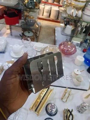 Stainless Steel Tissue Saviet Napkin Holder - Silver.