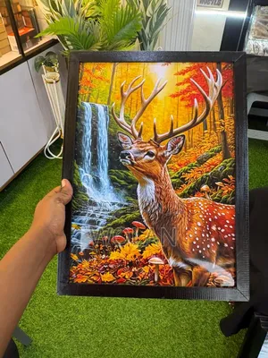 Wall Framed Images