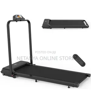 2in1 Walking Pad and Treadmill