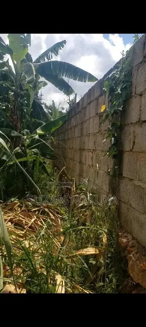 Land In Ntinda 54 Decimals