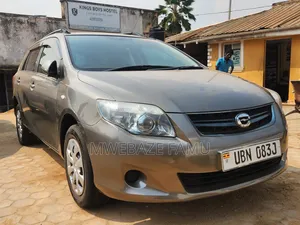 Toyota Corolla Fielder 2010 Gray