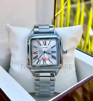 Stainless Men's Watch