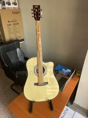 Powered/Electric Brandnew Massive Acoustic Guitar