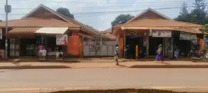 Land With Rentals
