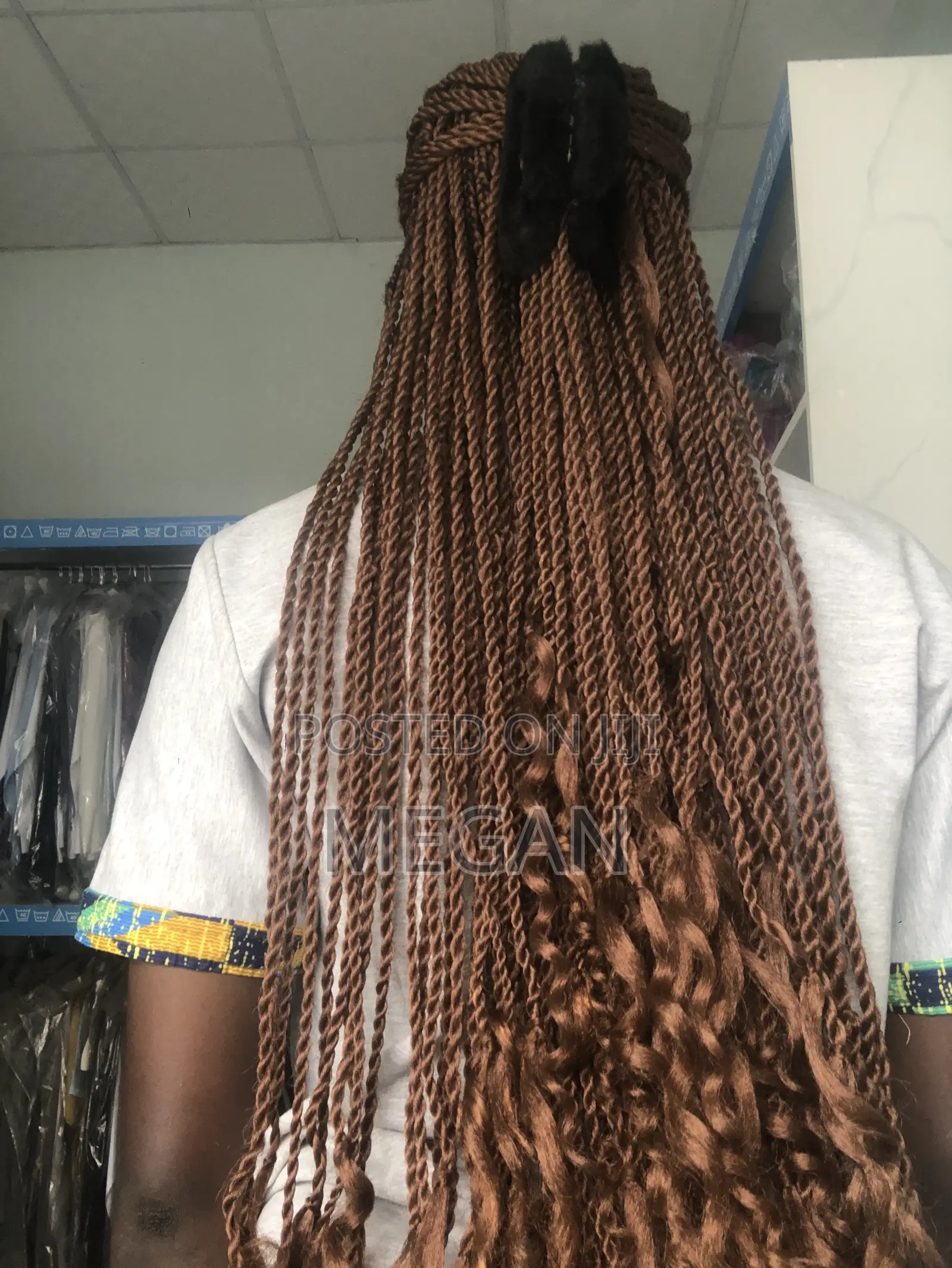 Hair Claws