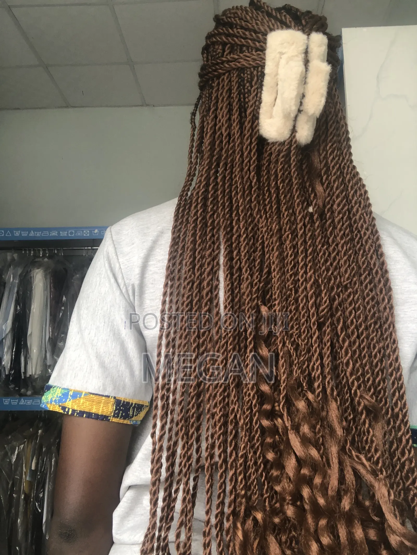Hair Claws