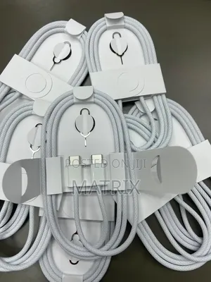 Apple Original Usb Type C to C