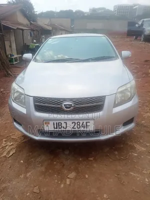 Toyota Corolla Fielder 2008 Silver
