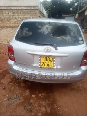 Toyota Corolla Fielder 2008 Silver