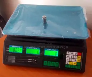 Acs Tabletop Weighing Scales 40kg Weigh Food Digital Weighing Scale