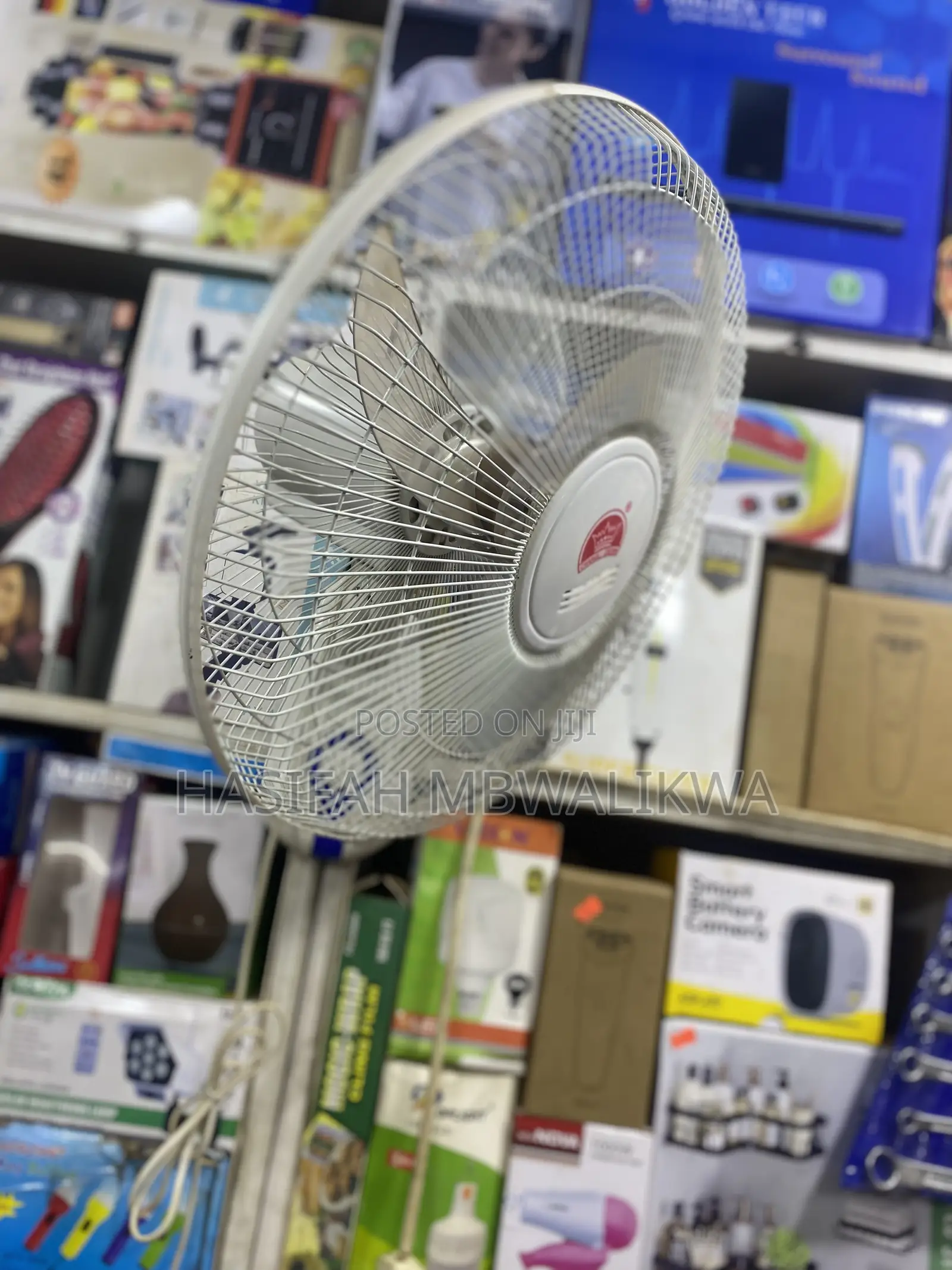 Changli Crown Wall Fan