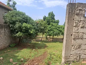 50 Decimals Mutundwe