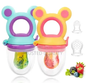 Baby Fruit Feeder Pacifier