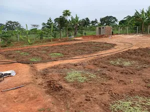 Two Titled Plots for Sale Both at 60m in Matugga