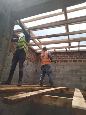 Ceiling Experts