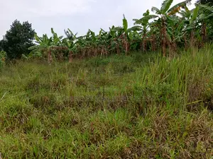 Wakiso Gobero Muguluka Estate – Plots for Sale