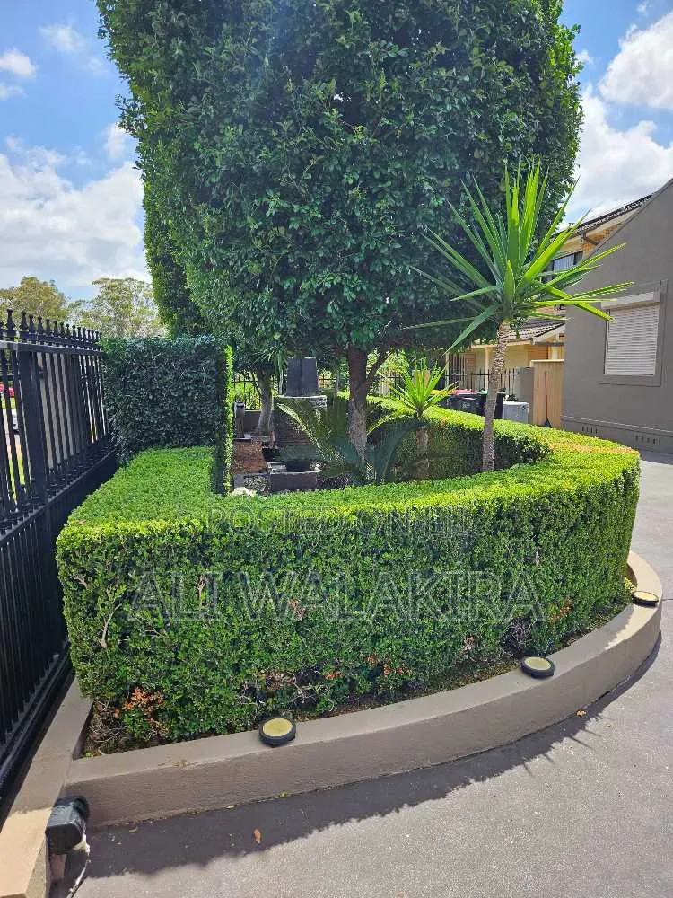 Gardening Service