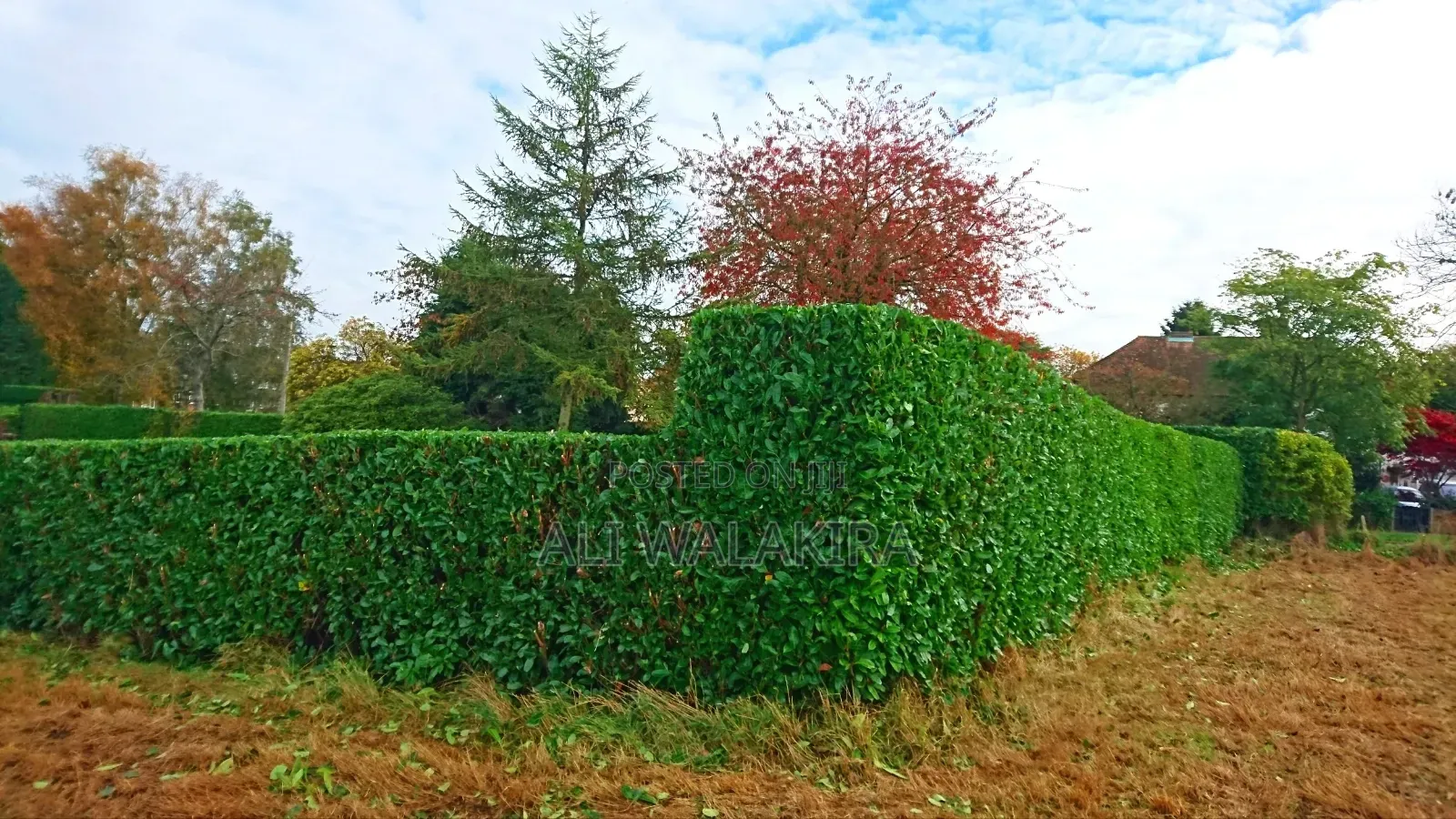 Gardening Service