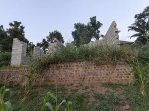 50/100 Plot of Land for Sale in Wakiso Bakka Road Kaliiti Mukitooke