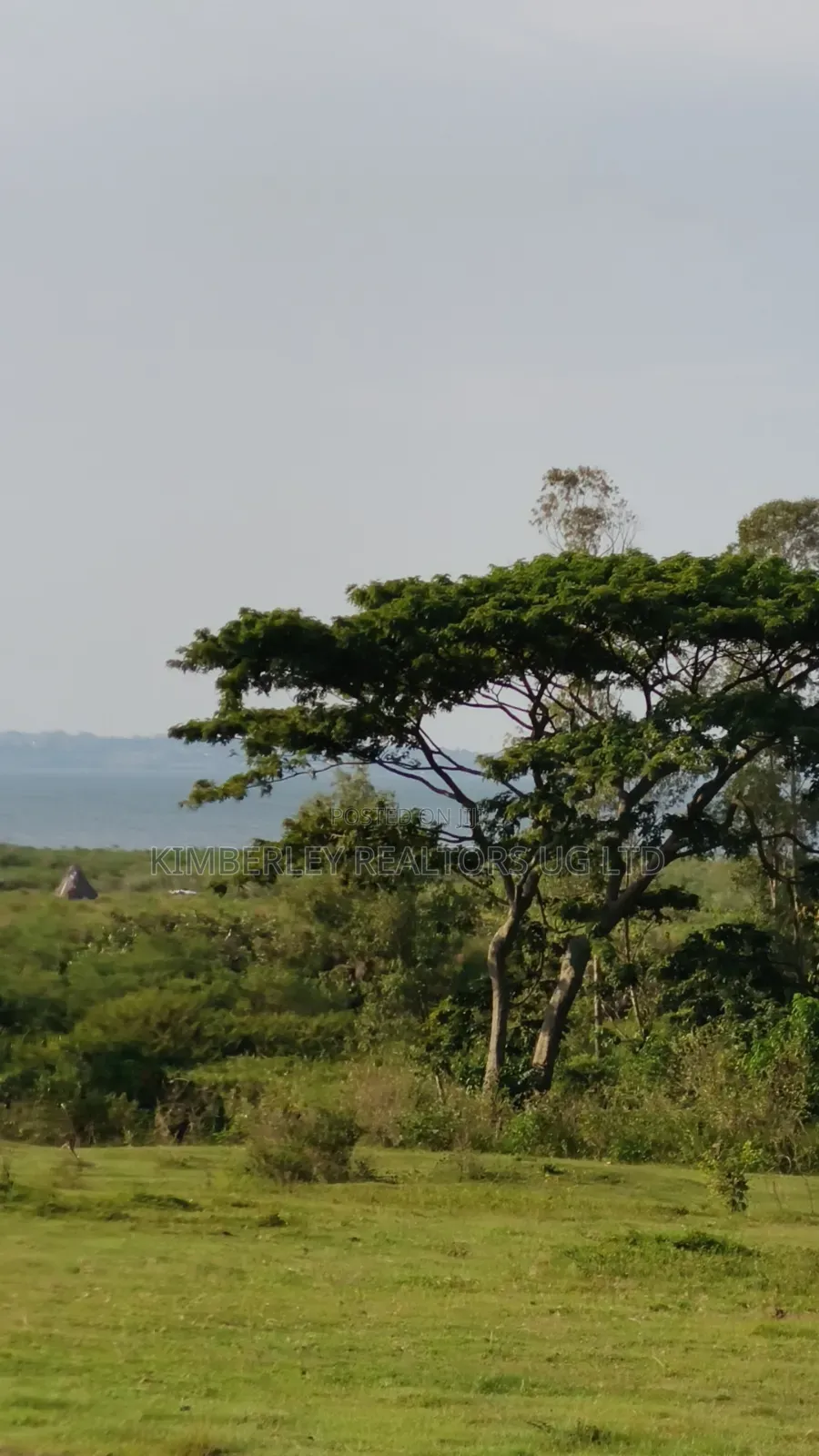 Entebbe Road – Bwerenga 1⁄4 Acre (Lake View) for Sale
