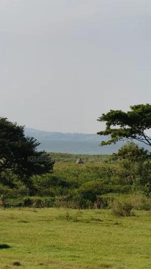 Entebbe Road – Bwerenga 1⁄4 Acre (Lake View) for Sale