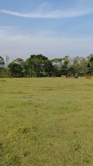 Entebbe Road – Bwerenga 1⁄4 Acre (Lake View) for Sale